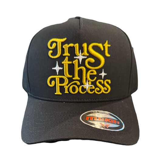 Trust the Process Dad Cap