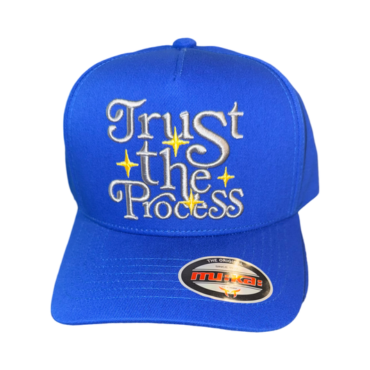 Trust the Process Dad Cap